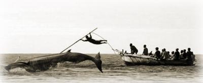 Matach&iacute;n en acci&oacute;n